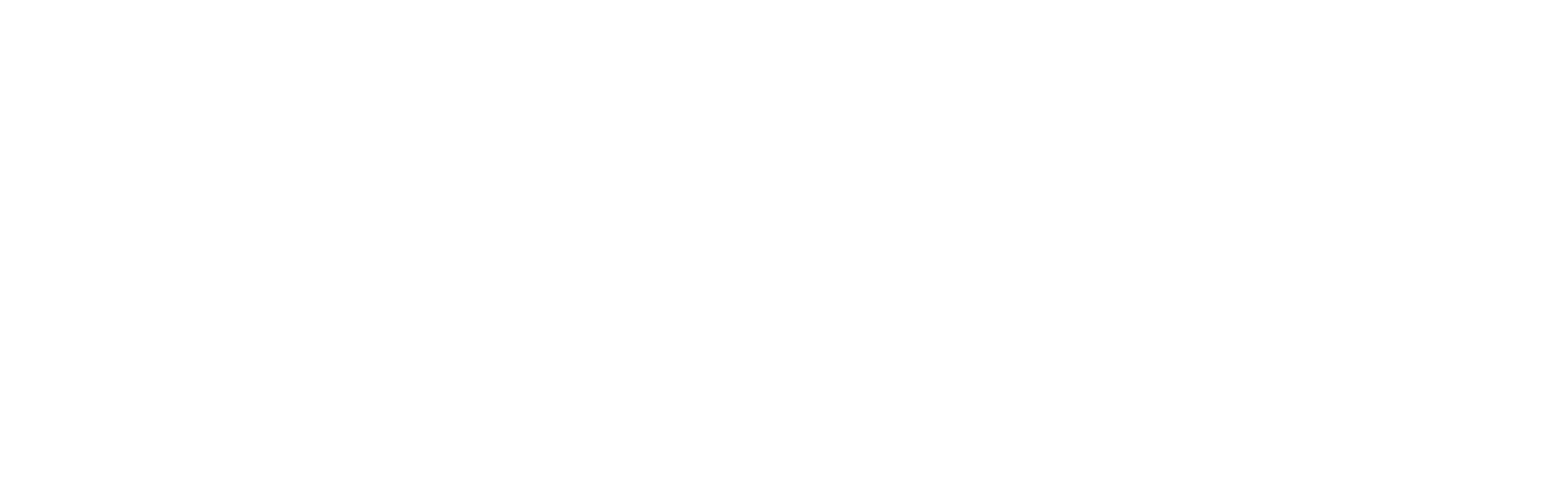 LOGO BLANC RAMONEURS DE FRANCE